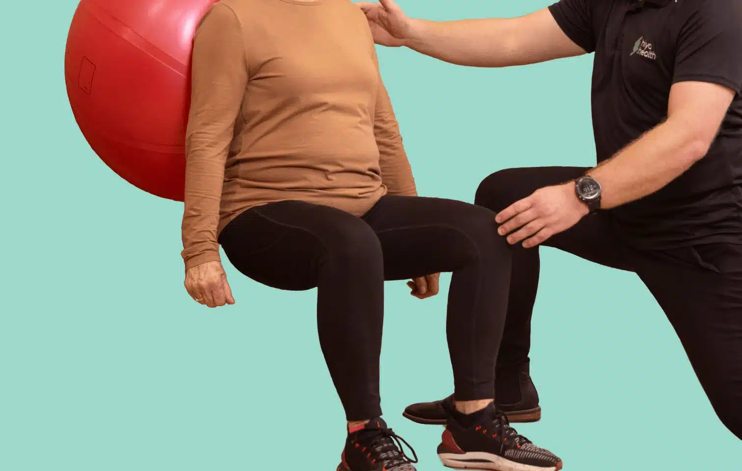 thumbnail-Exercise Physiology